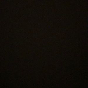 Meet your Posher, Abbey